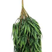 Feuillage : Chute Bambou 85 cm